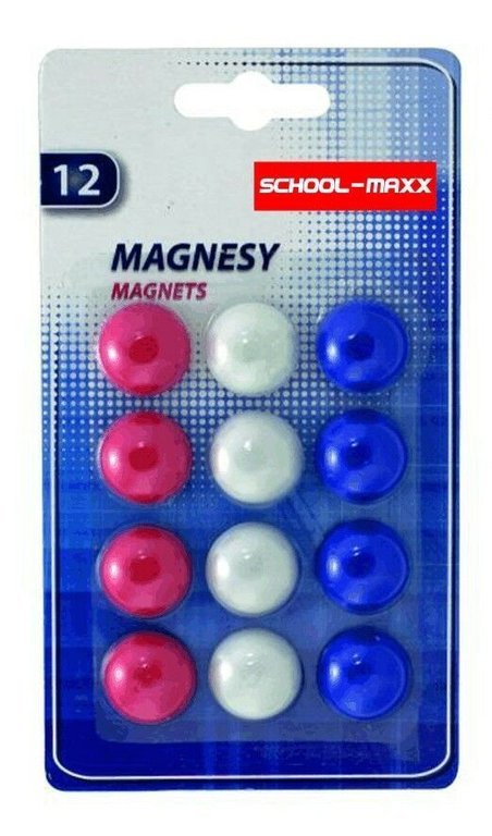 12 farbige Magnete